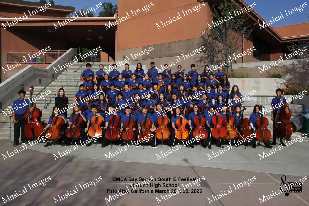 Musical Images